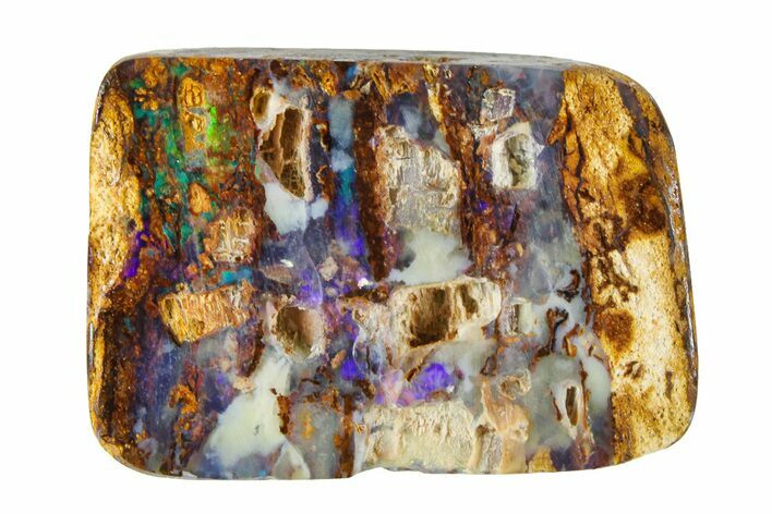 Colorful Polished Boulder Opal Specimen - Queensland, Australia #381792